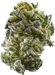 Close-up van een stuk Girl Scout Cookies wiet met rijke kleuren en textuur.